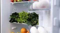 Koelkast vol verse groenten en fruit